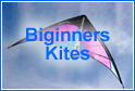 Sport Kites : Beginners Kites